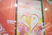 Открытый детский турнир по художественной гимнастике «Звездопад»